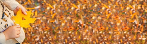 Preview: Children in the park with autumn leaves. Selective focus.