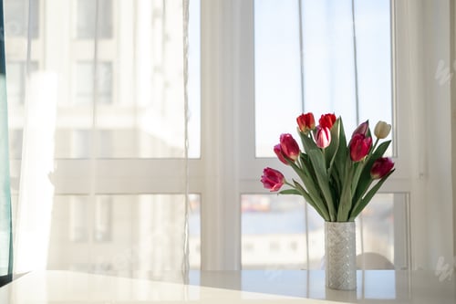 Preview: beautiful tulips in vase on white windowsill