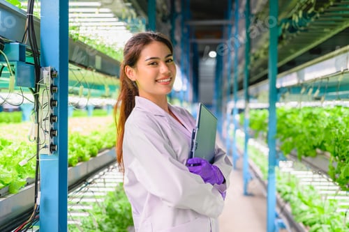 Preview: Biologist checking and recording growing of hydroponic vegetable