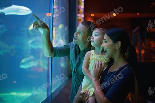 Preview: Life aquatic. Shot of a family of three on an outing to the aquarium.