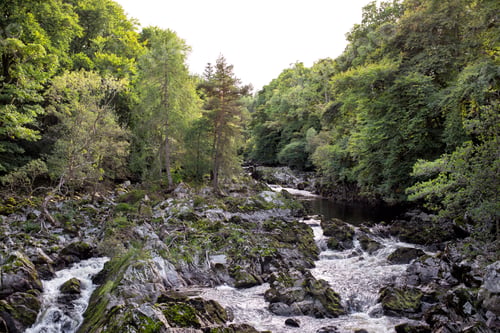 Preview: Rapid mountain river