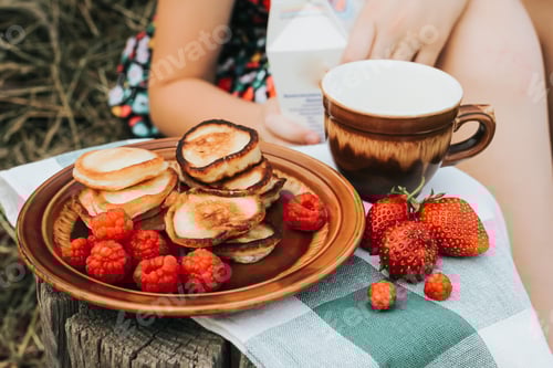 Preview: Summer picnic with pancakes, jam, berries and milk. Sweet summertime, vacation, outdoor recreation N