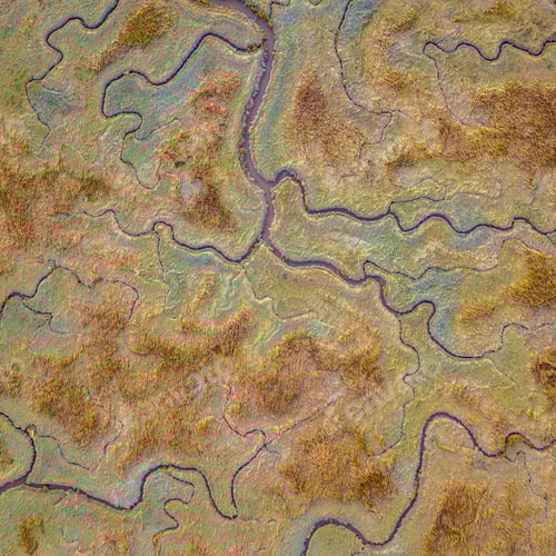 Preview: Aerial view of tidal marshland square