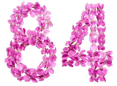 Preview: Arabic numeral 84, eighty four, from flowers of viola, isolated on white background