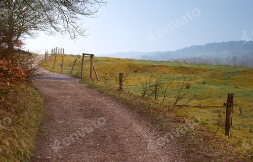 Preview: The scenic route