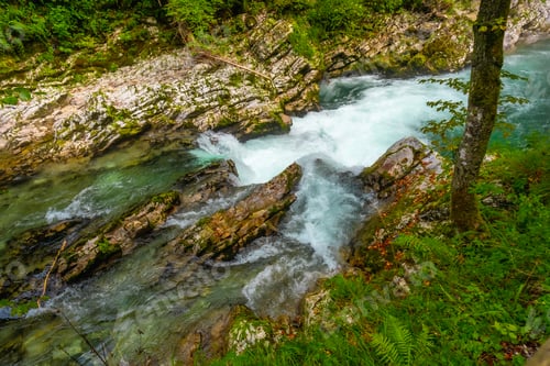 Preview: Radovna river flowing through vintgar gorge near bled, slovenia