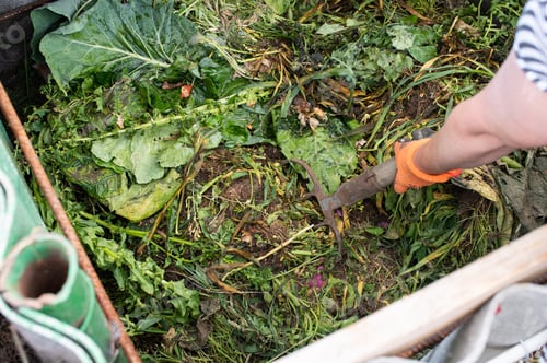Preview: Home Gardening: Turning Compost with Trowel