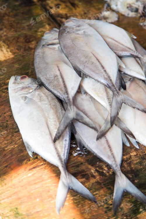 Preview: Fresh seafood