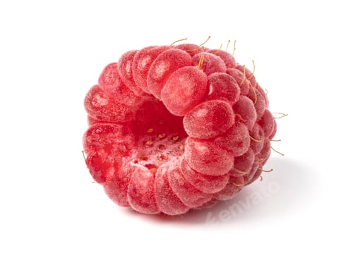 Preview: ripe raspberry