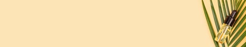 Preview: Flat lay with Natural organic cosmetics on orange background. Horizontal long banner for web design