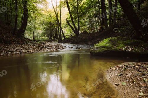 Preview: water in forest river scenery, natural serene landscape