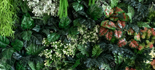Preview: Tropical green leaf background
