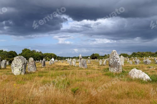 Preview: Alignments of Carnac - Carnac Stones