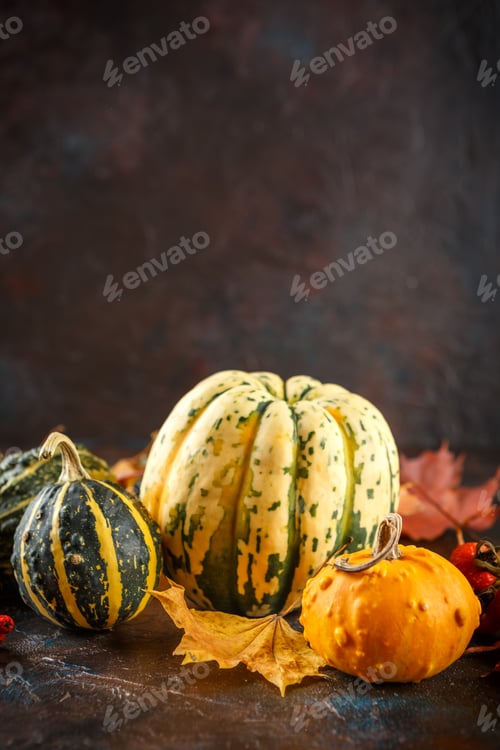 Preview: Small pumpkins decorative