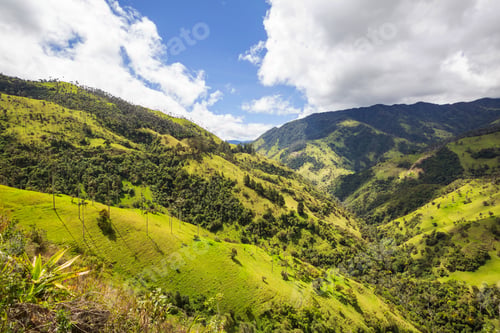Preview: Green hills in Colombia