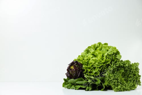 Preview: Concept of fresh and green food - lettuce