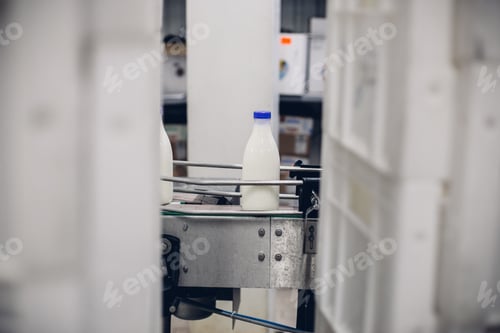 Preview: Selective focus shot of a bottled milk in a factory