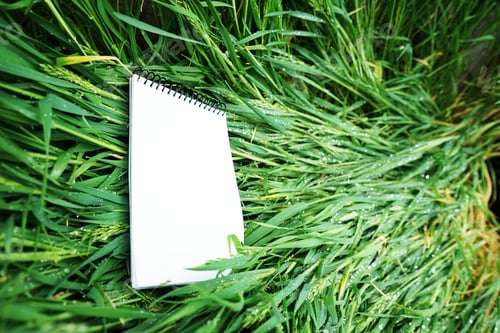 Preview: Mock up image in fresh organic texture