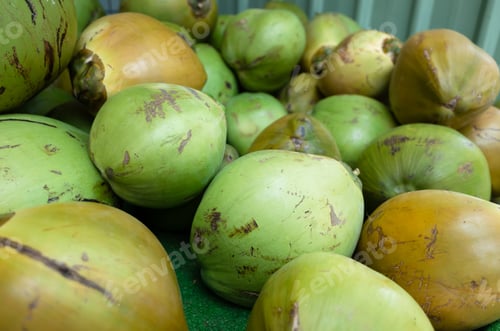 Preview: Coconut Fruit Stacked On The Marketplace At Taiwan