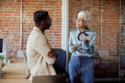 Preview: Mature businesswoman discussing with African American coworker while working at corporate office.