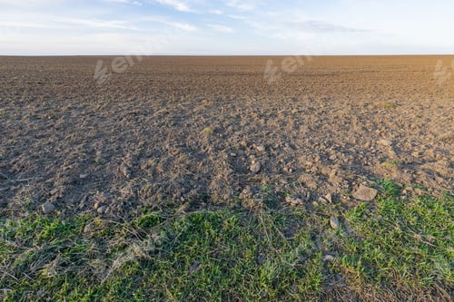 Preview: A sandy dry land and some green plants in the front in a daytime