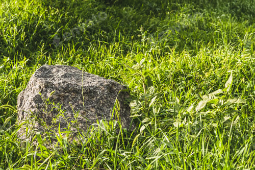 Preview: full frame shot of boulder lying in green grass under sunlight