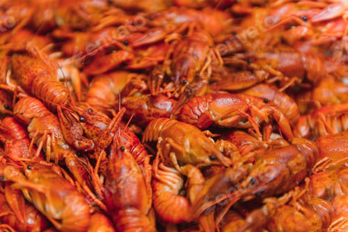 Preview: boiled crayfish on an iron plate. boiled red crayfish background for menu. top view
