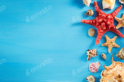 Preview: seashell on wood