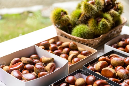 Preview: Fresh Chestnut