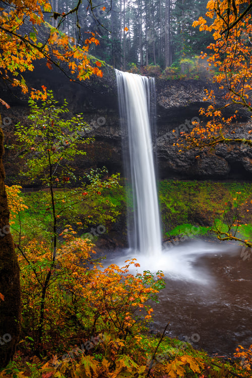 Preview: South Falls Autumn Colors, Silver Falls State Park, Oregon