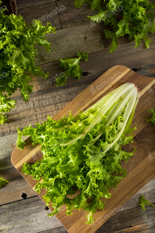 Preview: Raw Green Organic Endive Salad