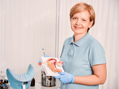Preview: Medical Professional Holds Anatomical Model in Examination Room