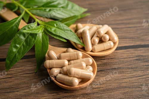 Preview: Andrographis paniculata or Kariyat leaf plant with herb capsules to treating