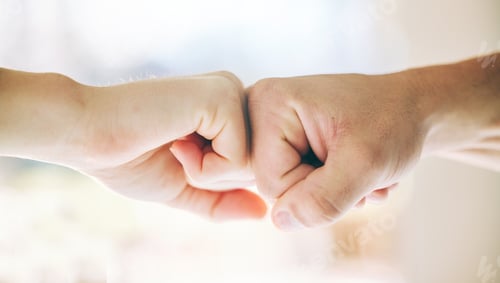 Preview: Fist bump, hands or support teamwork in gym for people in collaboration or solidarity trust. Agreem