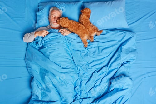 Preview: Great time at home. Sleeping senior man poses in bed under blue blanket. Small puppy licks face of o