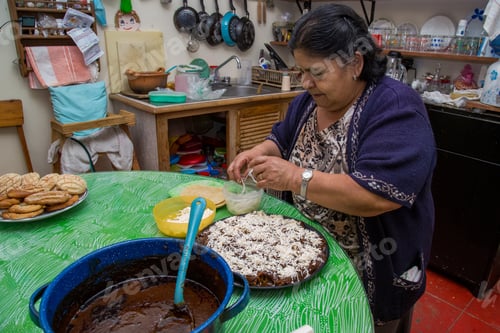 Preview: Senior Hispanic woman chef in a kitchen preparing mole enchiladas in a traditional way