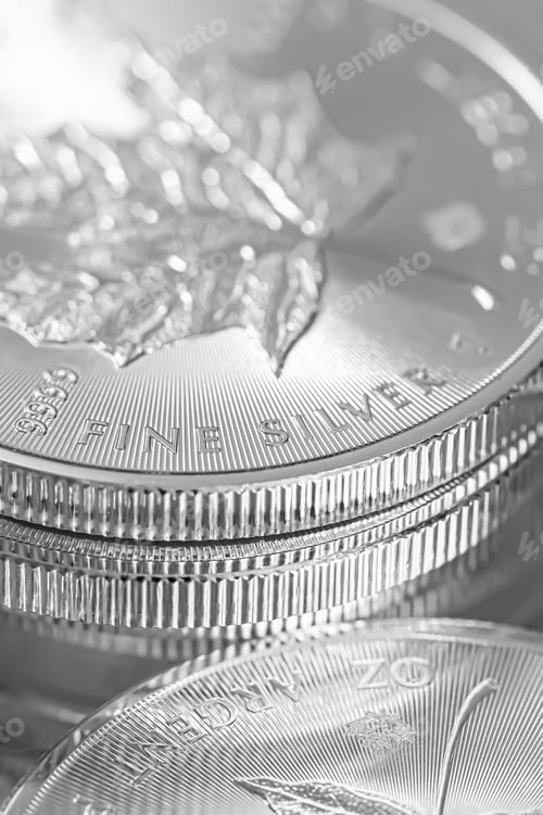 Preview: Macro Close up of a Silver Canadian Maple Leaf Bullion Coin