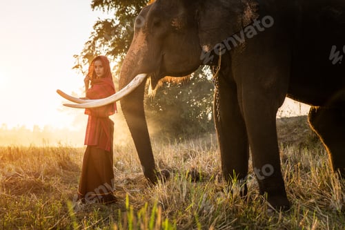 Preview: Elephant and woman in Thailand