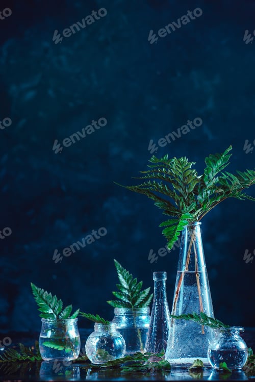 Preview: Clear glass bottles and vases with green fern leaves on a dark background. Natural decorations