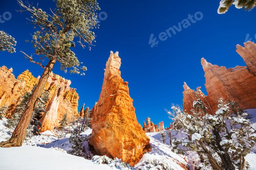 Preview: Winter Bryce