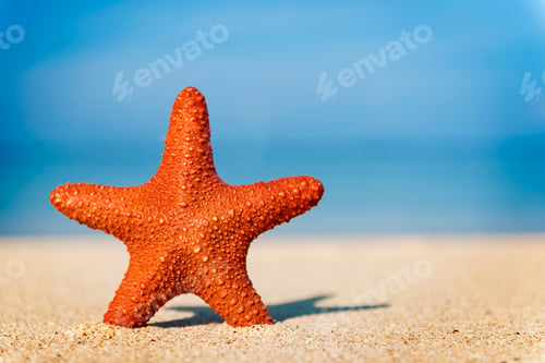Preview: Summer holiday