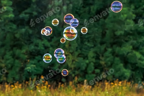 Preview: Soap bubbles in sun. Summer vacation and entertainment. Outdoor recreation