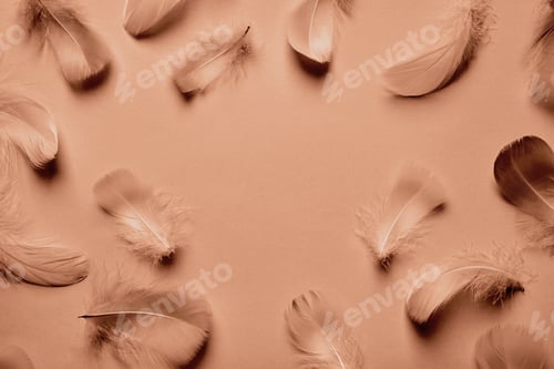 Preview: Abstract background with soft feathers in mocha mousse color