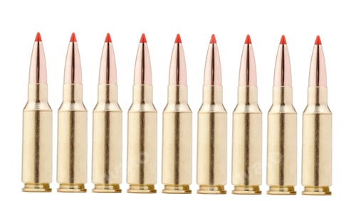 Preview: rifle bullets on white