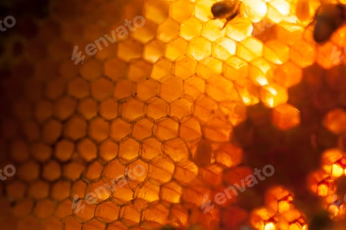 Preview: Texture and pattern of honeycomb, Abstract background