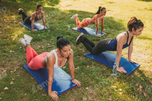 Preview: Push-up In Nature