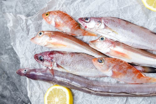 Preview: Raw fish with fresh ingredients ready to cook.