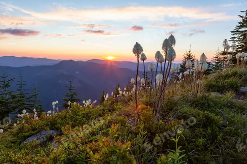 Preview: View of American Mountain Landscape during a vibrant and colorful summer sunset