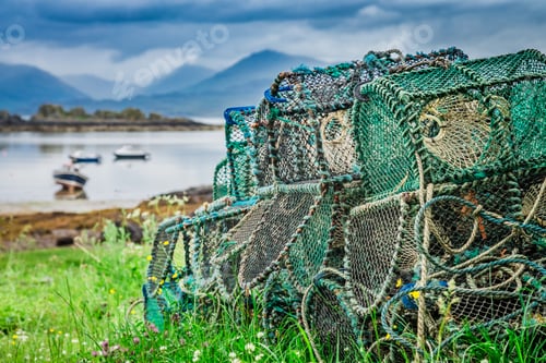 Preview: Old cage for lobster on shore, Scotland