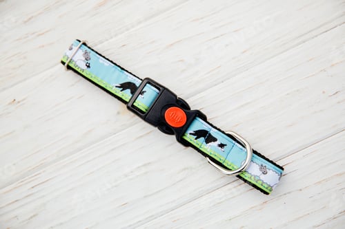 Preview: Stylish, bright and comfortable collar from pet shop for obedient dog, cat or other pets and domesti